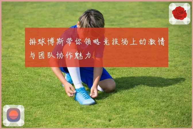 排球博斯带你领略竞技场上的激情与团队协作魅力