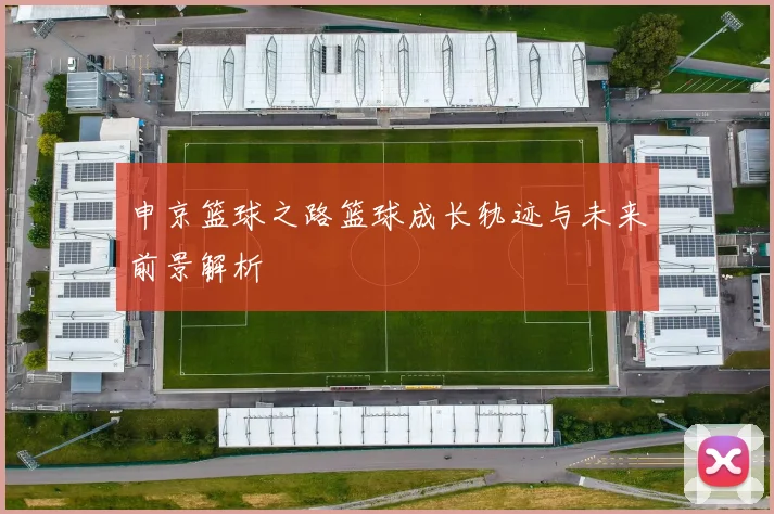申京篮球之路篮球成长轨迹与未来前景解析