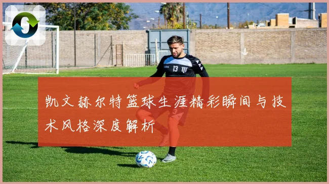 凯文赫尔特篮球生涯精彩瞬间与技术风格深度解析