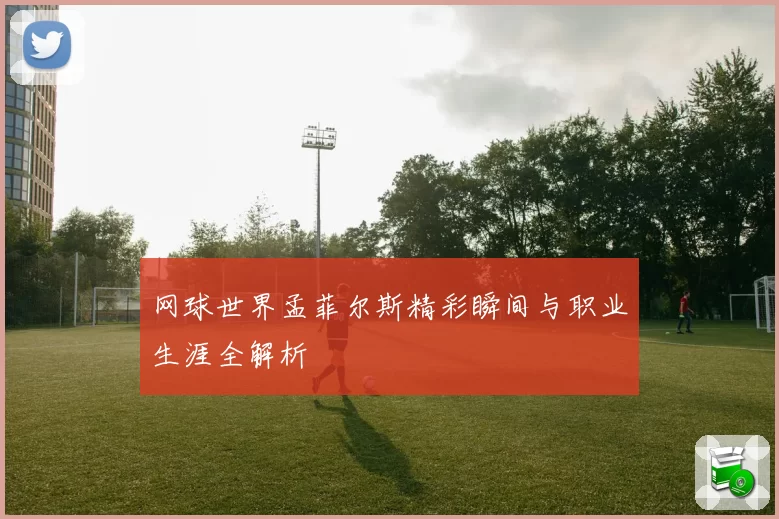 网球世界孟菲尔斯精彩瞬间与职业生涯全解析