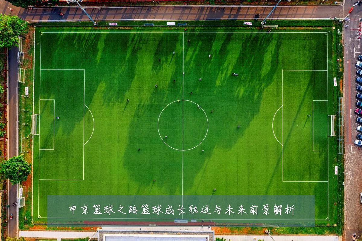 申京篮球之路篮球成长轨迹与未来前景解析