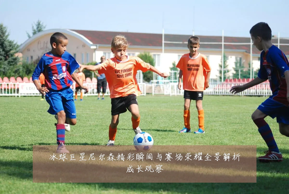 冰球巨星尼尔森精彩瞬间与赛场荣耀全景解析成长观察